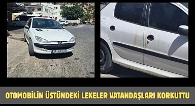 Otomobilin Üstündeki Lekeler Vatandaşları Korkuttu