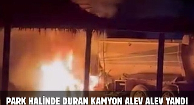 Park Halinde Duran Kamyon Alev Alev Yandı