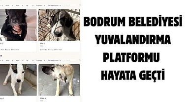 Bodrum Belediyesi Yuvalandırma Platformu hayata geçti