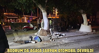 Bodrum’da Ağaca Çarpan Otomobil Devrildi