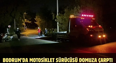 Bodrum’da Motosiklet Sürücüsü Domuza Çarptı  