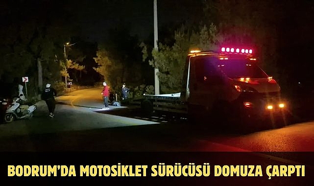 Bodrum’da Motosiklet Sürücüsü Domuza Çarptı