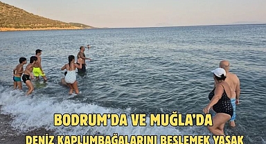 BODRUM’DA VE MUĞLA’DA DENİZ KAPLUMBAĞALARINI BESLEMEK YASAK