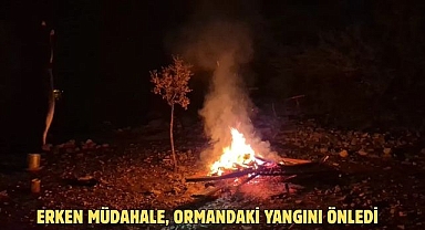 ERKEN MÜDAHALE, ORMANDAKİ YANGINI ÖNLEDİ