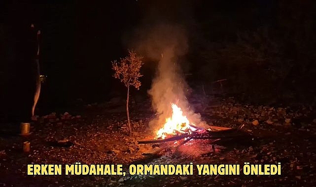 ERKEN MÜDAHALE, ORMANDAKİ YANGINI ÖNLEDİ