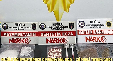 Muğla'da uyuşturucu operasyonunda 1 şüpheli tutuklandı