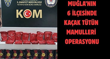 Muğla’nın 6 ilçesinde kaçak tütün mamulleri operasyonu
