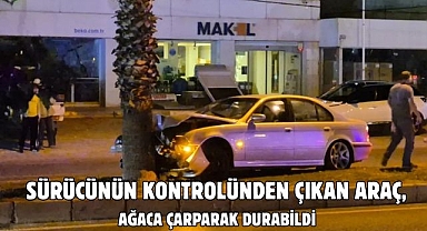 SÜRÜCÜNÜN KONTROLÜNDEN ÇIKAN ARAÇ, AĞACA ÇARPARAK DURABİLDİ