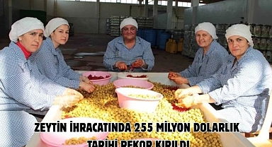 Zeytin ihracatında 255 milyon dolarlık tarihi rekor kırıldı