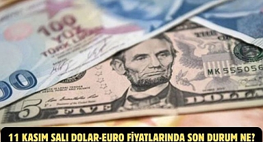 11 KASIM SALI DOLAR-EURO FİYATLARINDA SON DURUM NE?