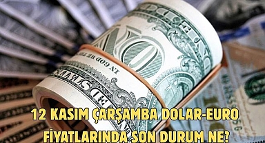 12 KASIM ÇARŞAMBA DOLAR-EURO FİYATLARINDA SON DURUM NE?