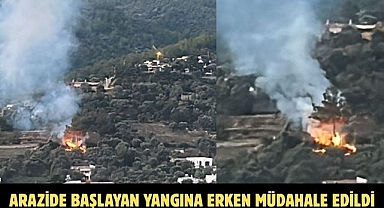 ARAZİDE BAŞLAYAN YANGINA ERKEN MÜDAHALE EDİLDİ