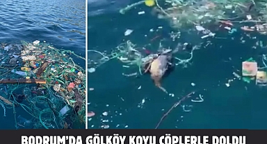 GÖLKÖY KOYU ÇÖPLERLE DOLU
