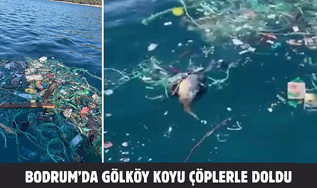GÖLKÖY KOYU ÇÖPLERLE DOLU