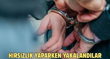 HIRSIZLIK YAPARKEN YAKALANDILAR