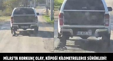 MİLAS’TA KORKUNÇ OLAY, KÖPEĞİ KİLOMETRELERCE SÜRÜKLEDİ!