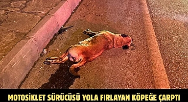 Motosiklet Sürücüsü Yola Fırlayan Köpeğe Çarptı