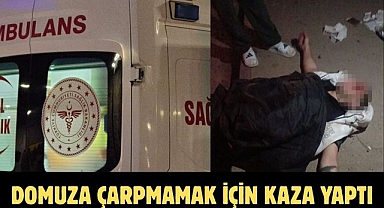 DOMUZA ÇARPMAMAK İÇİN KAZA YAPTI