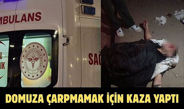 DOMUZA ÇARPMAMAK İÇİN KAZA YAPTI