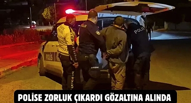 POLİSE ZORLUK ÇIKARDI GÖZALTINA ALINDA