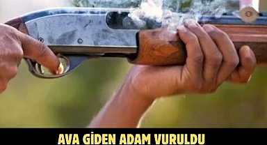AVA GİDEN ADAM VURULDU