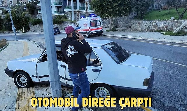 Otomobil Direğe Çarptı