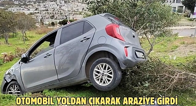 OTOMOBİL YOLDAN ÇIKARAK ARAZİYE GİRDİ