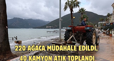 220 AĞACA MÜDAHALE EDİLDİ, 40 KAMYON ATIK TOPLANDI