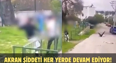 AKRAN ŞİDDETİ HER YERDE DEVAM EDİYOR!