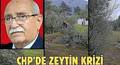 Chp’de zeytin krizi