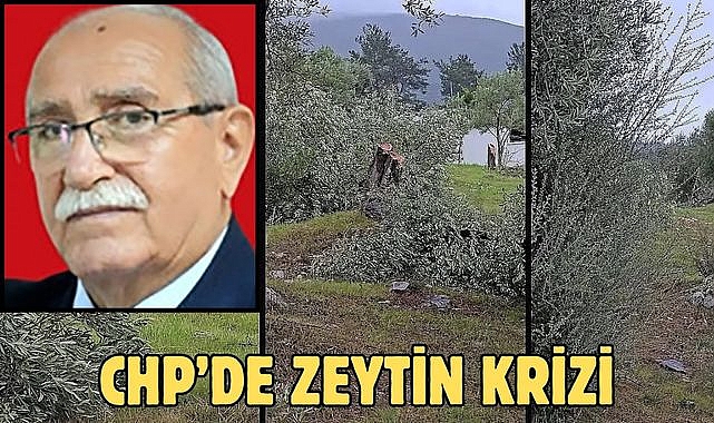 Chp’de zeytin krizi