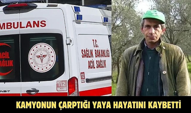 Kamyonun Çarptığı Yaya Hayatını Kaybetti