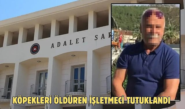 KÖPEKLERİ ÖLDÜREN İŞLETMECİ TUTUKLANDI