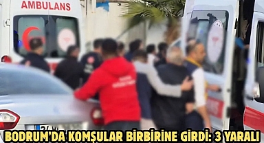 BODRUM’DA KOMŞULAR BİRBİRİNE GİRDİ: 3 YARALI