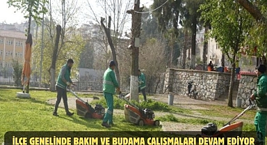 İLÇE GENELİNDE BAKIM VE BUDAMA ÇALIŞMALARI DEVAM EDİYOR