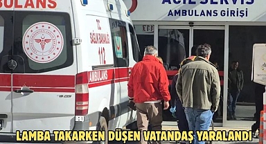 LAMBA TAKARKEN DÜŞEN VATANDAŞ YARALANDI