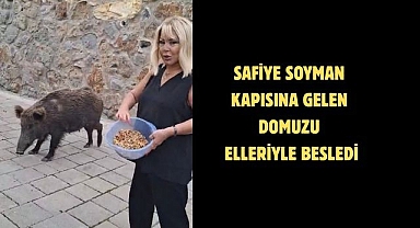 Safiye Soyman kapısına gelen domuzu elleriyle besledi