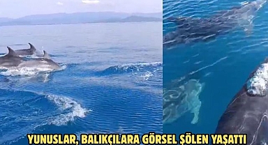 YUNUSLAR, BALIKÇILARA GÖRSEL ŞÖLEN YAŞATTI