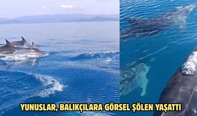 YUNUSLAR, BALIKÇILARA GÖRSEL ŞÖLEN YAŞATTI