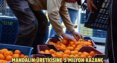 MANDALİN ÜRETİCİSİNE 5 MİLYON KAZANÇ
