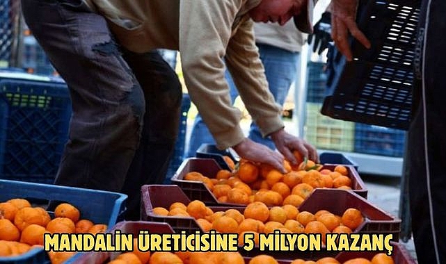 MANDALİN ÜRETİCİSİNE 5 MİLYON KAZANÇ