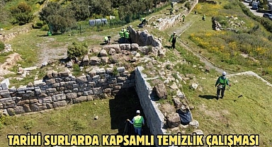 Tarihi surlarda kapsamlı temizlik çalışması