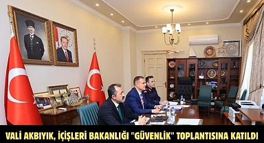 Vali Akbıyık, İçişleri Bakanlığı