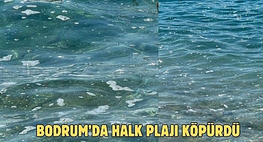 Bodrum’da Halk Plajı Köpürdü