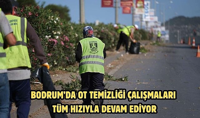 BODRUM’DA OT TEMİZLİĞİ ÇALIŞMALARI TÜM HIZIYLA DEVAM EDİYOR