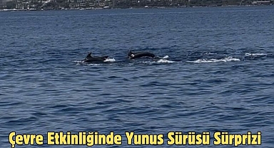 Çevre Etkinliğinde Yunus Sürüsü Sürprizi