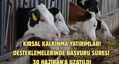 KIRSAL KALKINMA YATIRIMLARI DESTEKLEMELERİNDE BAŞVURU SÜRESİ 30 HAZİRAN'A UZATILDI