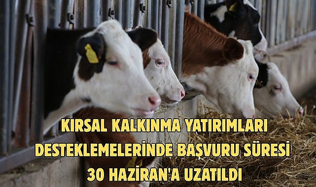 KIRSAL KALKINMA YATIRIMLARI DESTEKLEMELERİNDE BAŞVURU SÜRESİ 30 HAZİRAN'A UZATILDI