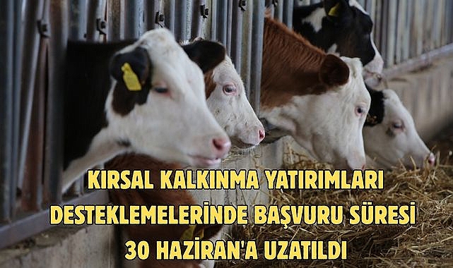 KIRSAL KALKINMA YATIRIMLARI DESTEKLEMELERİNDE BAŞVURU SÜRESİ 30 HAZİRAN'A UZATILDI