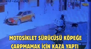 Motosiklet Sürücüsü Köpeğe Çarpmamak İçin Kaza Yaptı